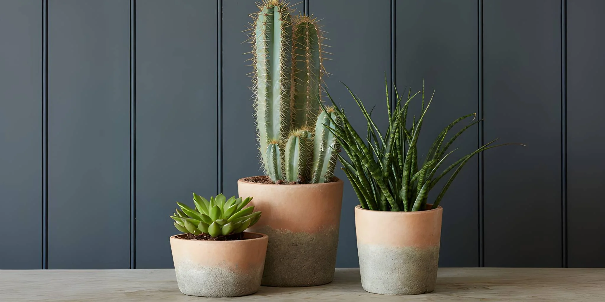 Cultivate Your Sustainable Sanctuary